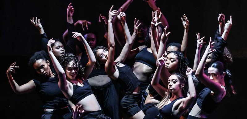 A group of 14 dancers strike a complicated group pose